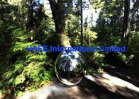 Popular Inflatable Mirror Balloon Silver Reflective Ball For Events Decoration