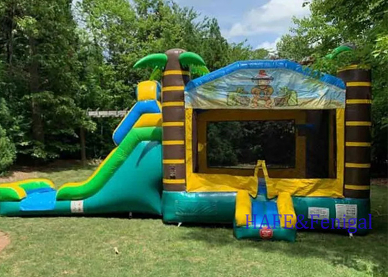Popular Theme Inflatable Bounce Castle Sky Bounce House With Slide
