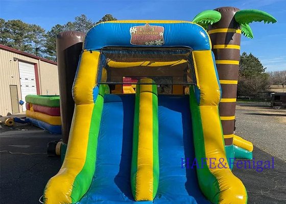 Popular Theme Inflatable Bounce Castle Sky Bounce House With Slide